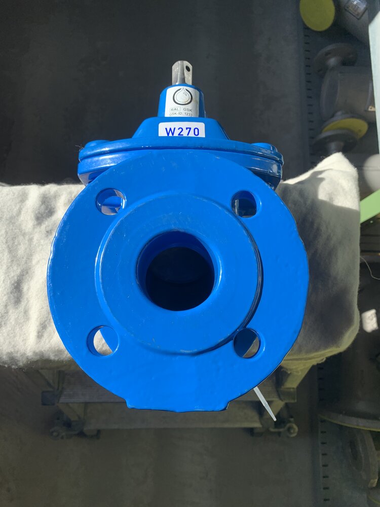 EBRO Armaturen  W270     DN50 PN16