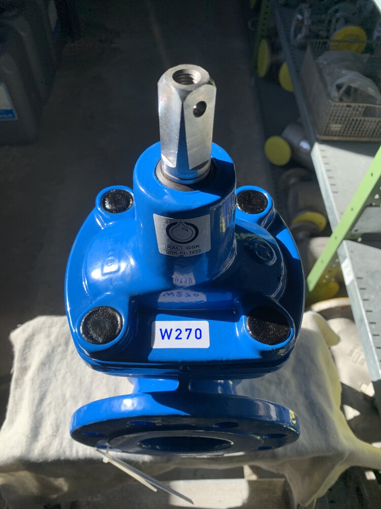 EBRO Armaturen  W270  DN80 PN16