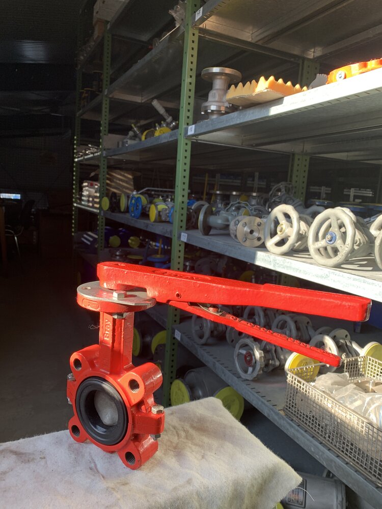 Bray DN50PN10 Lochkreis 125mm - Bild 3