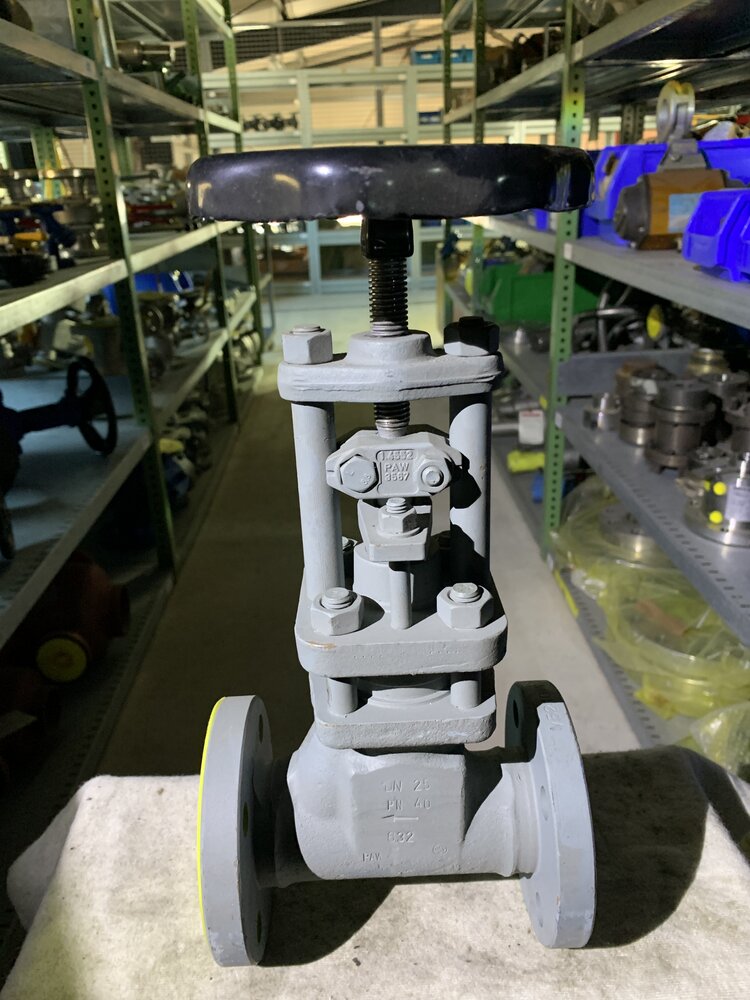 PHÖNIX Armaturen Werke  1.4552 PAW 3567.    DN25 PN40  - Bild 2