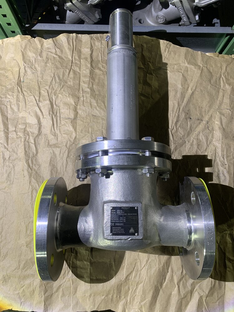 PROTEGO DZ/T-F-50. DN50 PN16  - Bild 2