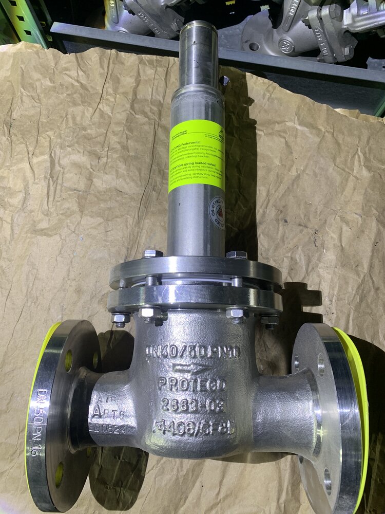 PROTEGO DZ/T-F-50. DN50 PN16  - Bild 3