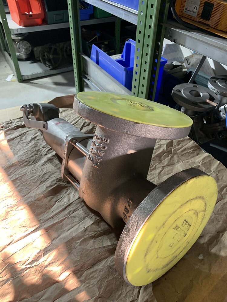 LESER GLP80KS.  DN80 PN40  - Bild 3