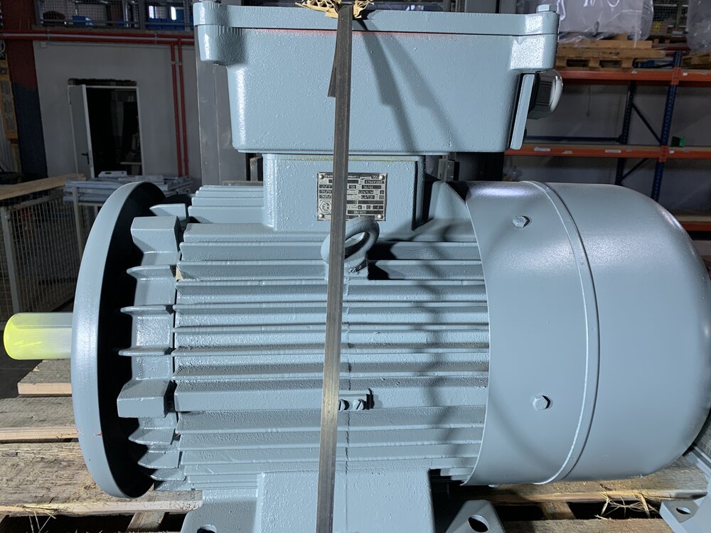 Felten und Guilleaume dCD. 200L-4/2. 619495001 - Bild 2